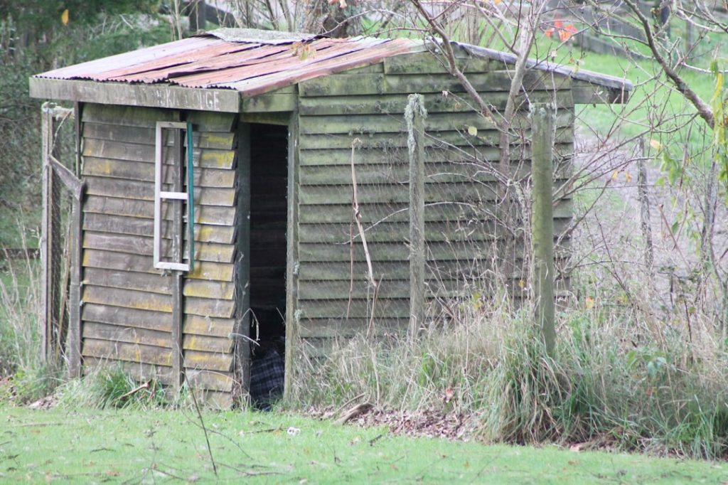 Photo Chicken coop