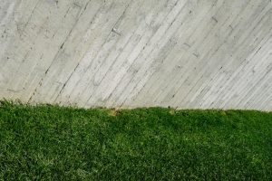 Photo Fence and leash