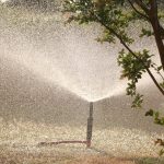 Photo Motion-activated sprinkler