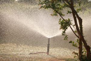 Photo Motion-activated sprinkler