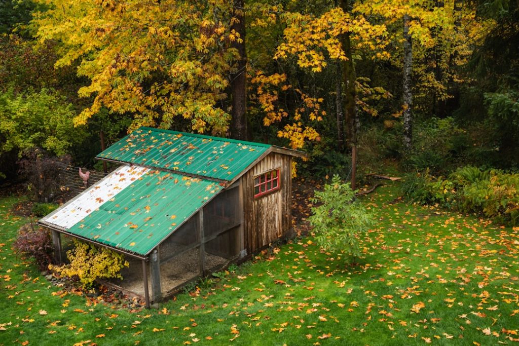 Photo Chicken coop