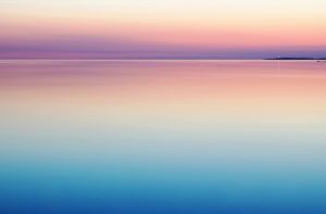 Photo Coexisting peacefully