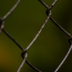 Photo Chicken wire