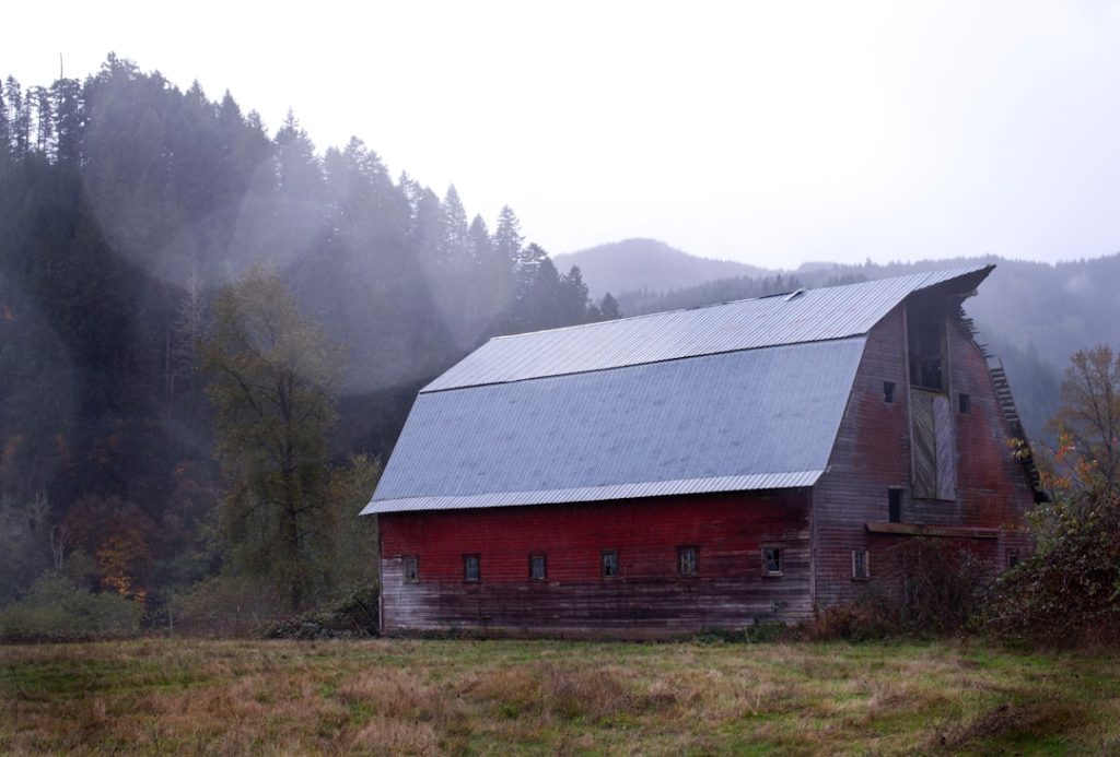 Photo Coop and barn