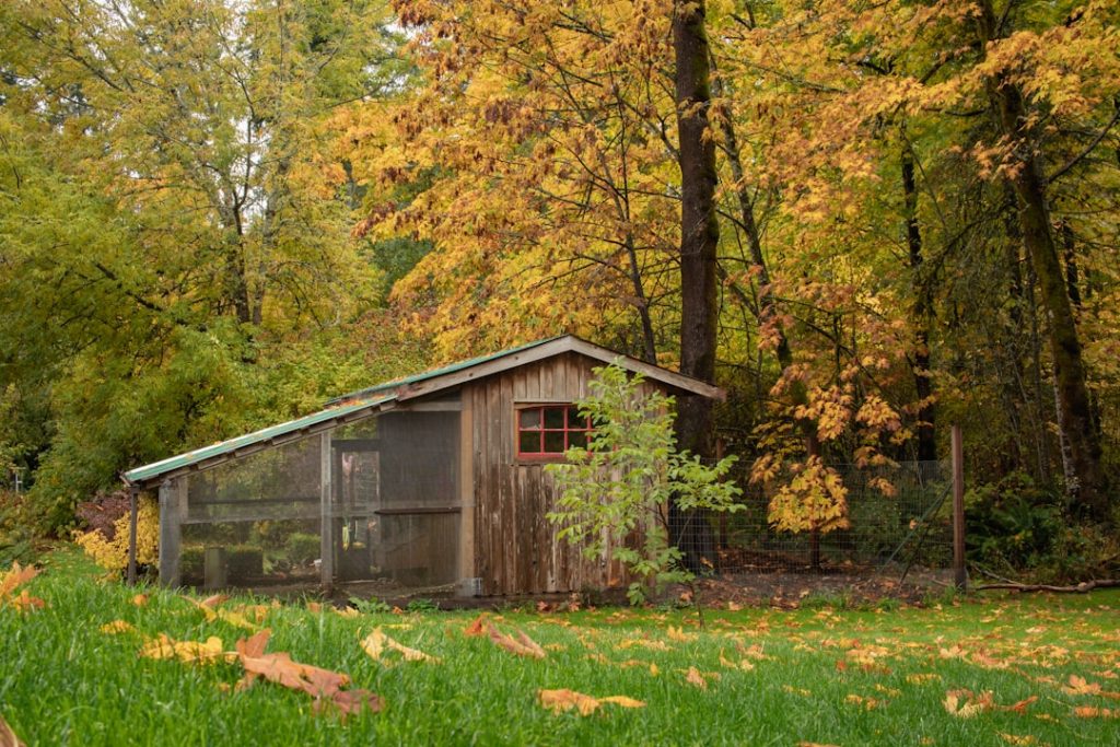 Photo Chicken coop