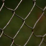 Photo Chicken wire