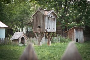 Photo Backyard coop