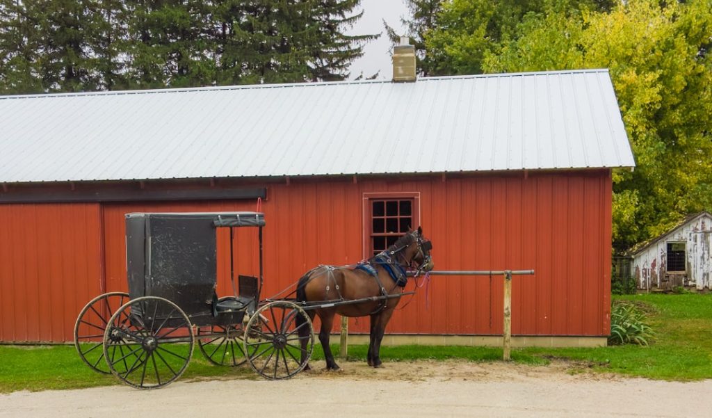 Photo Farmyard harmony