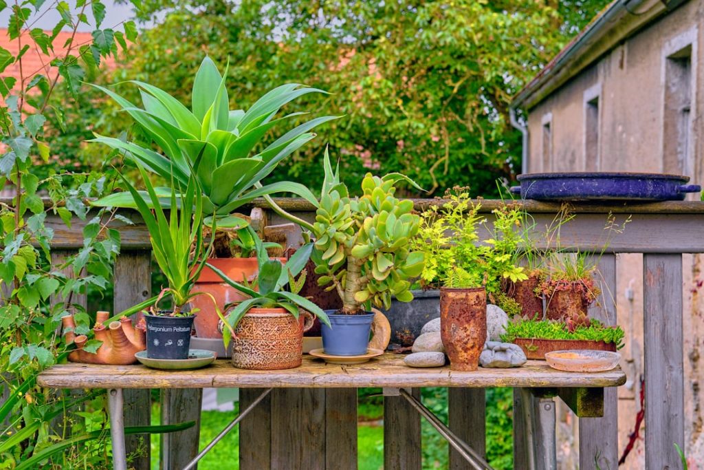 Photo Garden fence