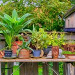 Photo Garden fence