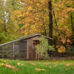 Photo Chicken coop