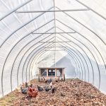 Photo Chicken coop