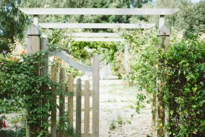 Photo Fence and gate