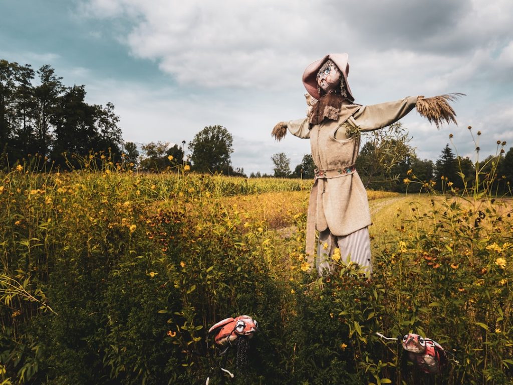 Photo Scarecrow