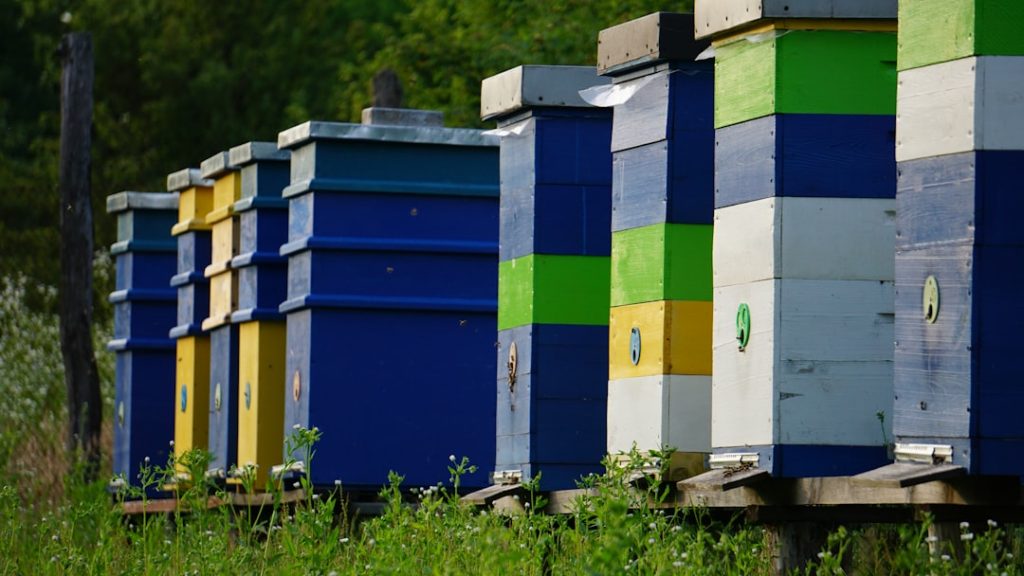 Photo Apiary coop