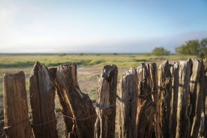 Photo Wooden fence