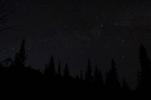 Photo Black Rock Chicken