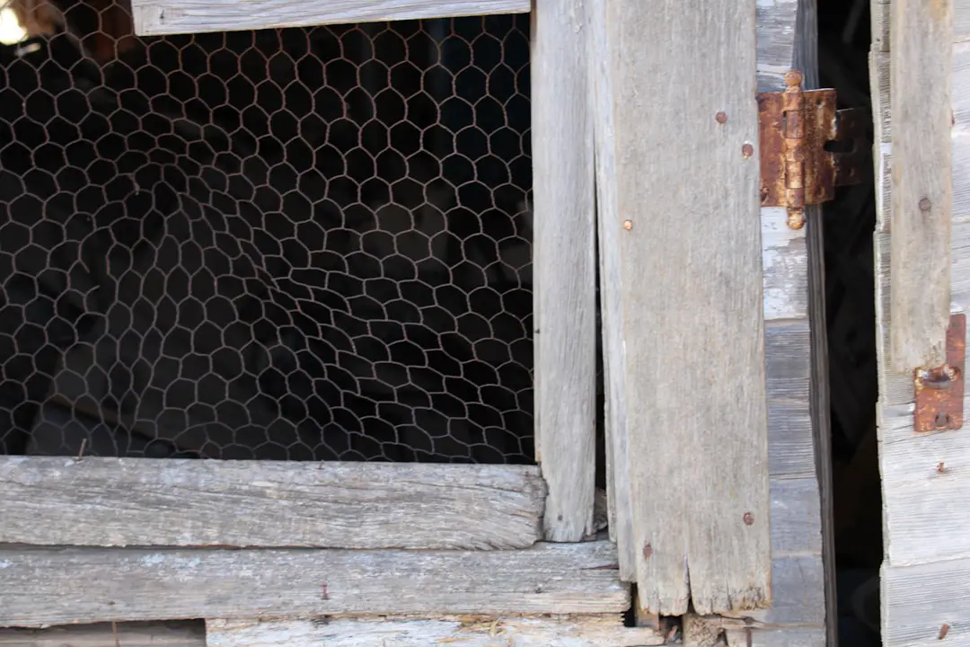 how to keep chickens off my deck