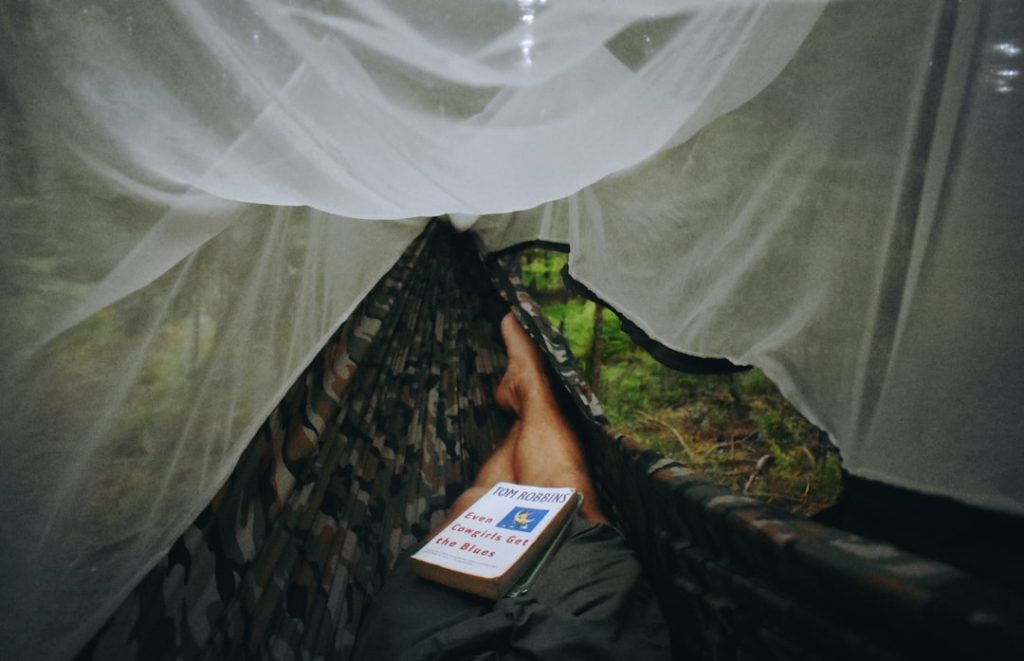 Photo Mosquito net