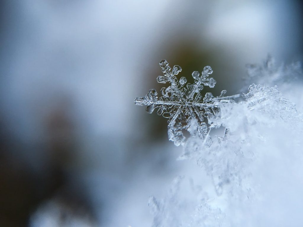 Photo Winter chicken coop