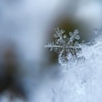 Photo Winter chicken coop