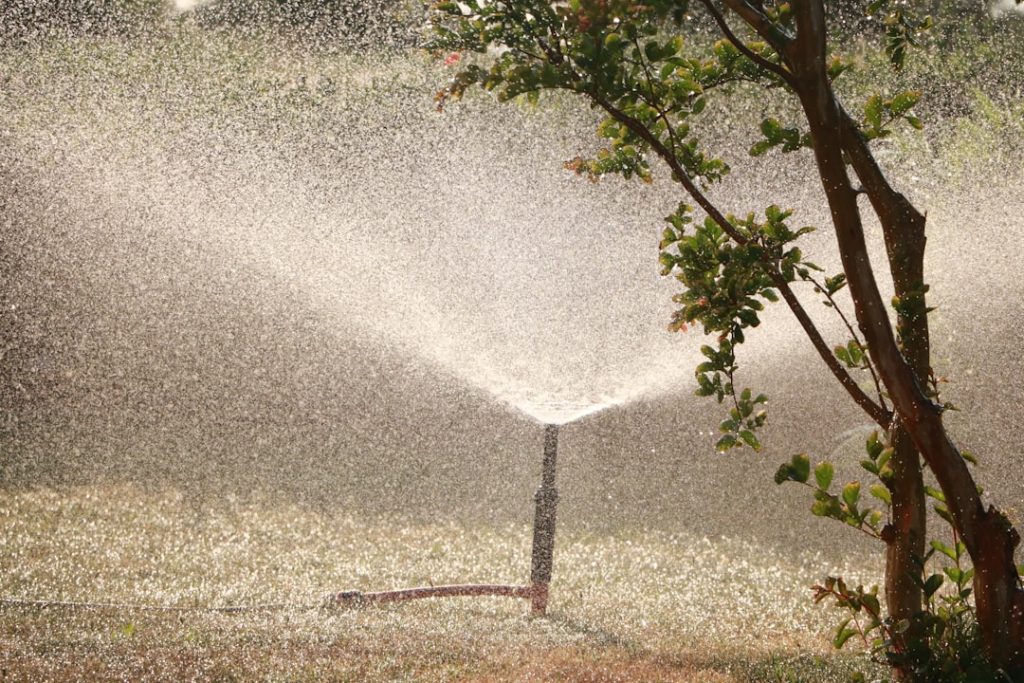 Photo Motion-activated sprinkler