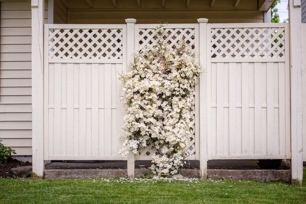 Photo Garden fence