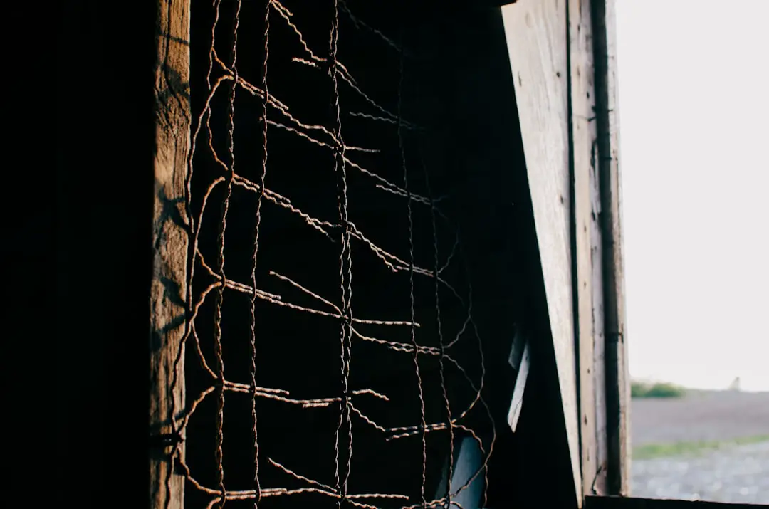 how to keep chickens off carport