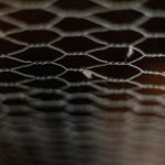 Photo Chicken wire